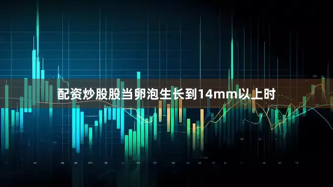 配资炒股股当卵泡生长到14mm以上时