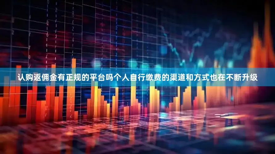 认购返佣金有正规的平台吗个人自行缴费的渠道和方式也在不断升级